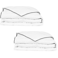 Offres ❤️ VIDAXL Couette En Duvet D'hiver 2 Pcs 150 X 200 Cm ????