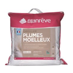 Acheter ???? BLANREVE Oreiller Duvet Et Plumettes Oie Et Canard Moelleux Anti-acariens ????