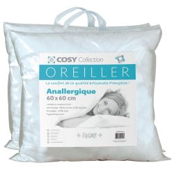 Top 10 ???? Le Linge De Jules Lot De 2 Oreillers 60X60 - Anallergique ????