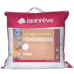 Budget ???? BLANREVE Lot De 2 Oreillers Confort Moelleux En Polycoton TENDRESSE ????