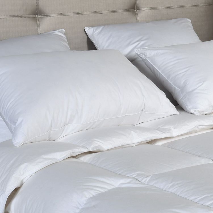 Meilleure affaire ???? Sensei Maison Oreiller En Microfibre COURCHEVEL ???? 1 Meilleure affaire ???? Sensei Maison Oreiller En Microfibre COURCHEVEL ????