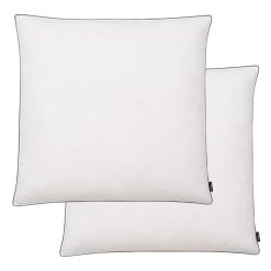 Acheter ???? VIDAXL Oreiller 2 Pcs Remplissage De Duvet 80 X 80 Cm Blanc ????